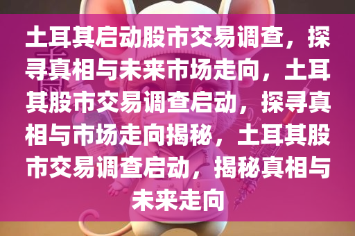 土耳其启动股市交易调查，探寻真相与未来市场走向，土耳其股市交易调查启动，探寻真相与市场走向揭秘，土耳其股市交易调查启动，揭秘真相与未来走向