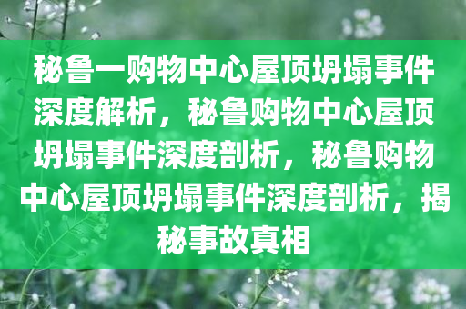 秘鲁一购物中心屋顶坍塌事件深度解析，秘鲁购物中心屋顶坍塌事件深度剖析，秘鲁购物中心屋顶坍塌事件深度剖析，揭秘事故真相