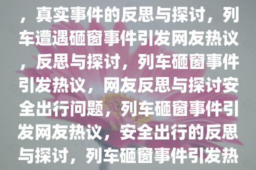 多位网友称有乘列车被砸经历，真实事件的反思与探讨，列车遭遇砸窗事件引发网友热议，反思与探讨，列车砸窗事件引发热议，网友反思与探讨安全出行问题，列车砸窗事件引发网友热议，安全出行的反思与探讨，列车砸窗事件引发热议，安全出行反思与探讨