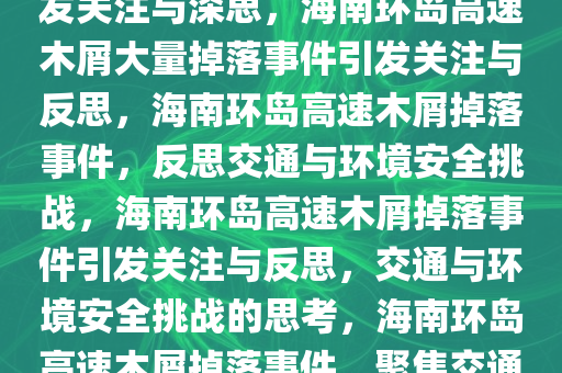 海南环岛高速掉落大量木屑，引发关注与深思，海南环岛高速木屑大量掉落事件引发关注与反思，海南环岛高速木屑掉落事件，反思交通与环境安全挑战，海南环岛高速木屑掉落事件引发关注与反思，交通与环境安全挑战的思考，海南环岛高速木屑掉落事件，聚焦交通与环境安全挑战