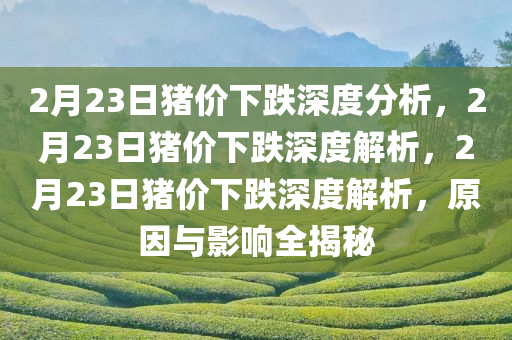 2月23日猪价下跌深度分析，2月23日猪价下跌深度解析，2月23日猪价下跌深度解析，原因与影响全揭秘