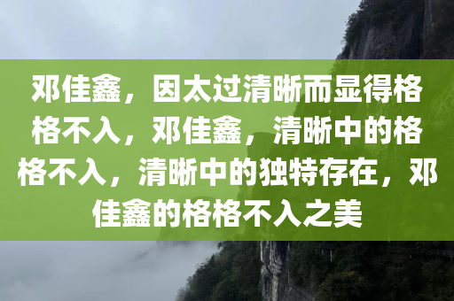 邓佳鑫，因太过清晰而显得格格不入，邓佳鑫，清晰中的格格不入，清晰中的独特存在，邓佳鑫的格格不入之美