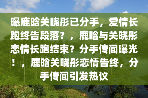 曝鹿晗关晓彤已分手，爱情长跑终告段落？，鹿晗与关晓彤恋情长跑结束？分手传闻曝光！，鹿晗关晓彤恋情告终，分手传闻引发热议