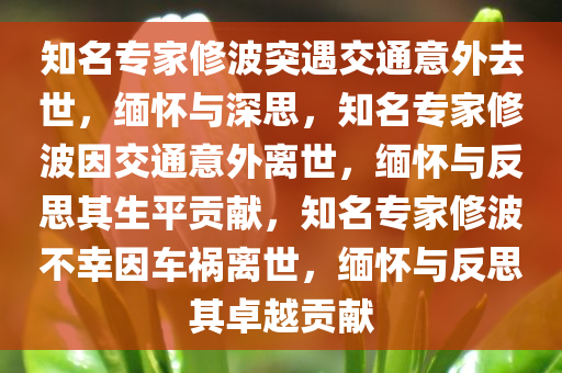 知名专家修波突遇交通意外去世，缅怀与深思，知名专家修波因交通意外离世，缅怀与反思其生平贡献，知名专家修波不幸因车祸离世，缅怀与反思其卓越贡献