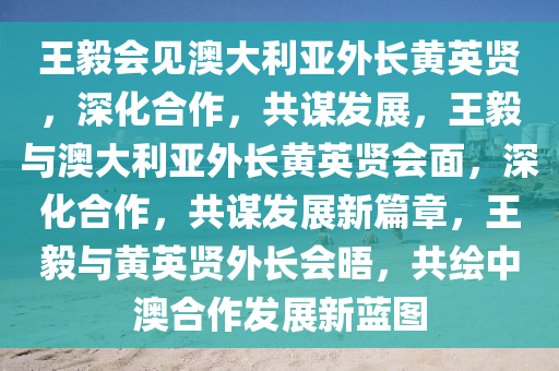 王毅会见澳大利亚外长黄英贤，深化合作，共谋发展，王毅与澳大利亚外长黄英贤会面，深化合作，共谋发展新篇章，王毅与黄英贤外长会晤，共绘中澳合作发展新蓝图