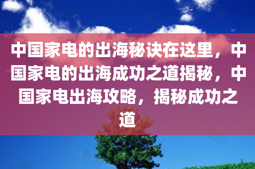 中国家电的出海秘诀在这里，中国家电的出海成功之道揭秘，中国家电出海攻略，揭秘成功之道