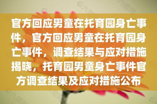 官方回应男童在托育园身亡事件，官方回应男童在托育园身亡事件，调查结果与应对措施揭晓，托育园男童身亡事件官方调查结果及应对措施公布