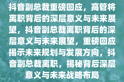 抖音副总裁重磅回应，高管将离职背后的深层意义与未来展望，抖音副总裁离职背后的深层意义与未来展望，重磅回应揭示未来规划与发展方向，抖音副总裁离职，揭秘背后深层意义与未来战略布局