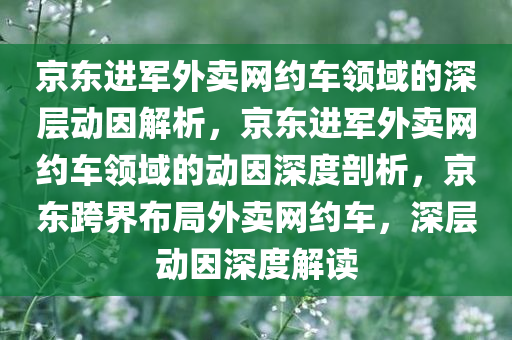 京东进军外卖网约车领域的深层动因解析，京东进军外卖网约车领域的动因深度剖析，京东跨界布局外卖网约车，深层动因深度解读