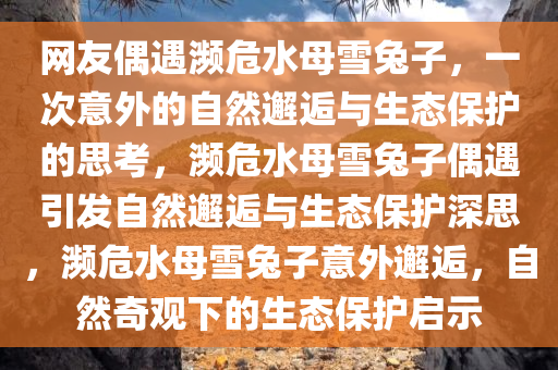 网友偶遇濒危水母雪兔子，一次意外的自然邂逅与生态保护的思考，濒危水母雪兔子偶遇引发自然邂逅与生态保护深思，濒危水母雪兔子意外邂逅，自然奇观下的生态保护启示