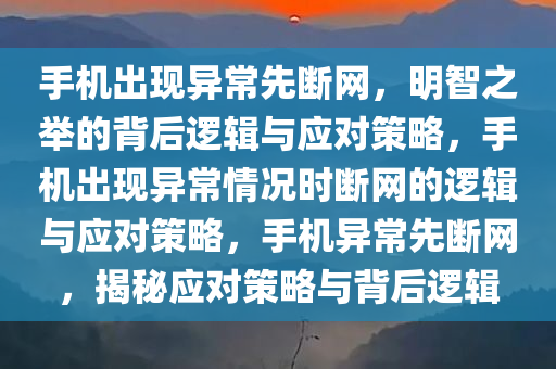 手机出现异常先断网，明智之举的背后逻辑与应对策略，手机出现异常情况时断网的逻辑与应对策略，手机异常先断网，揭秘应对策略与背后逻辑