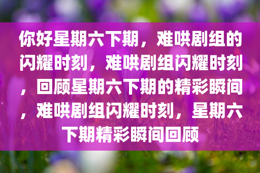 你好星期六下期，难哄剧组的闪耀时刻，难哄剧组闪耀时刻，回顾星期六下期的精彩瞬间，难哄剧组闪耀时刻，星期六下期精彩瞬间回顾