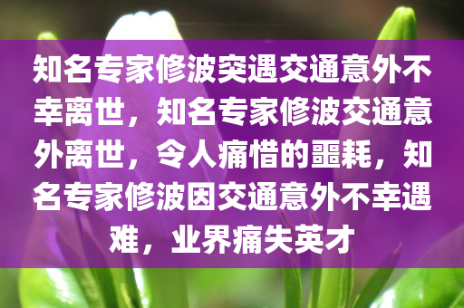 知名专家修波突遇交通意外不幸离世，知名专家修波交通意外离世，令人痛惜的噩耗，知名专家修波因交通意外不幸遇难，业界痛失英才