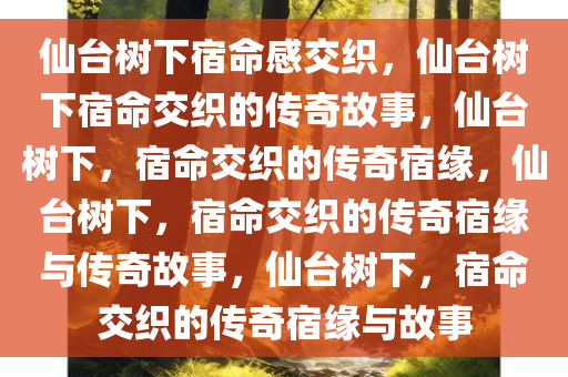 仙台树下宿命感交织，仙台树下宿命交织的传奇故事，仙台树下，宿命交织的传奇宿缘，仙台树下，宿命交织的传奇宿缘与传奇故事，仙台树下，宿命交织的传奇宿缘与故事