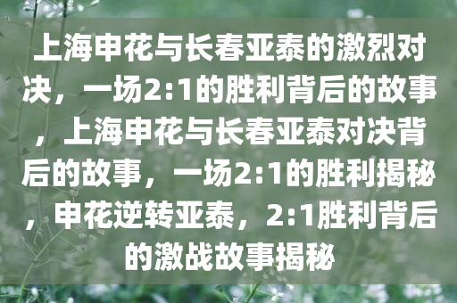 上海申花与长春亚泰的激烈对决，一场2:1的胜利背后的故事，上海申花与长春亚泰对决背后的故事，一场2:1的胜利揭秘，申花逆转亚泰，2:1胜利背后的激战故事揭秘