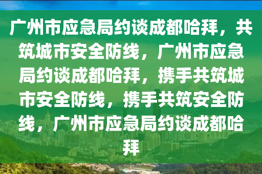 广州市应急局约谈成都哈拜，共筑城市安全防线，广州市应急局约谈成都哈拜，携手共筑城市安全防线，携手共筑安全防线，广州市应急局约谈成都哈拜