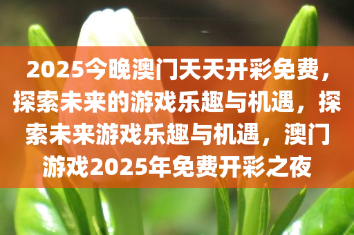 2025今晚澳门天天开彩免费，探索未来的游戏乐趣与机遇，探索未来游戏乐趣与机遇，澳门游戏2025年免费开彩之夜