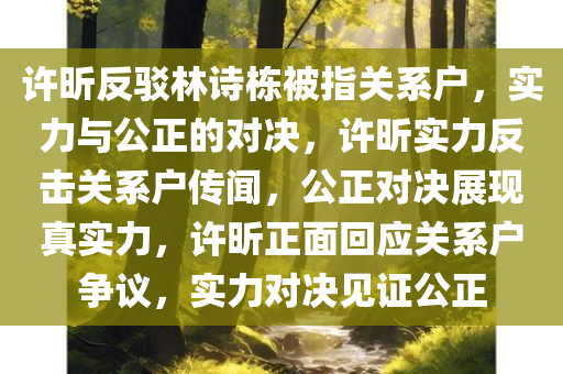 许昕反驳林诗栋被指关系户，实力与公正的对决，许昕实力反击关系户传闻，公正对决展现真实力，许昕正面回应关系户争议，实力对决见证公正