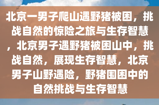 北京一男子爬山遇野猪被困，挑战自然的惊险之旅与生存智慧，北京男子遇野猪被困山中，挑战自然，展现生存智慧，北京男子山野遇险，野猪围困中的自然挑战与生存智慧