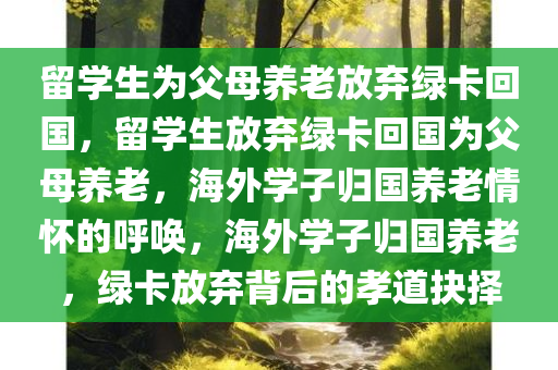 留学生为父母养老放弃绿卡回国，留学生放弃绿卡回国为父母养老，海外学子归国养老情怀的呼唤，海外学子归国养老，绿卡放弃背后的孝道抉择