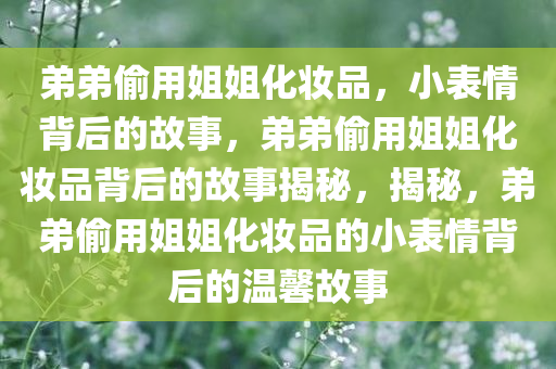 弟弟偷用姐姐化妆品，小表情背后的故事，弟弟偷用姐姐化妆品背后的故事揭秘，揭秘，弟弟偷用姐姐化妆品的小表情背后的温馨故事