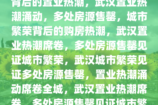 武汉多处房源售罄，城市繁荣背后的置业热潮，武汉置业热潮涌动，多处房源售罄，城市繁荣背后的购房热潮，武汉置业热潮席卷，多处房源售罄见证城市繁荣，武汉城市繁荣见证多处房源售罄，置业热潮涌动席卷全城，武汉置业热潮席卷，多处房源售罄见证城市繁荣