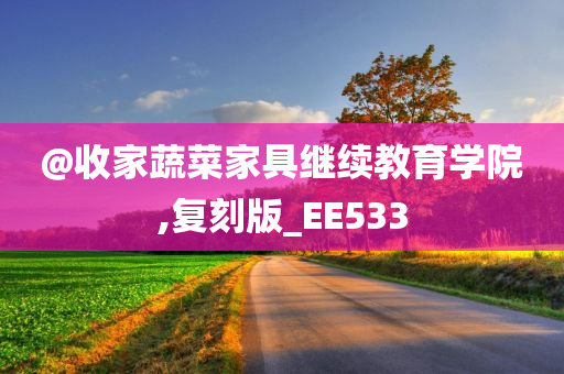 @收家蔬菜家具继续教育学院,复刻版_EE533