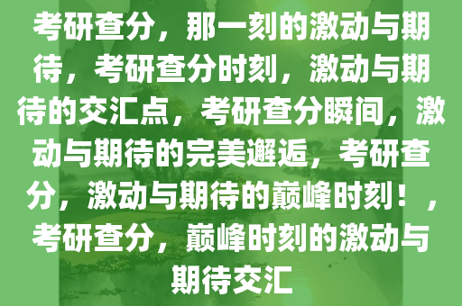 考研查分，那一刻的激动与期待，考研查分时刻，激动与期待的交汇点，考研查分瞬间，激动与期待的完美邂逅，考研查分，激动与期待的巅峰时刻！，考研查分，巅峰时刻的激动与期待交汇