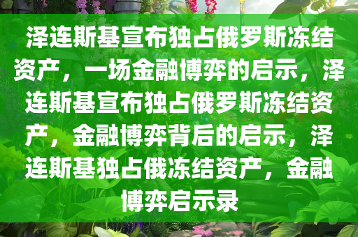 泽连斯基宣布独占俄罗斯冻结资产，一场金融博弈的启示，泽连斯基宣布独占俄罗斯冻结资产，金融博弈背后的启示，泽连斯基独占俄冻结资产，金融博弈启示录