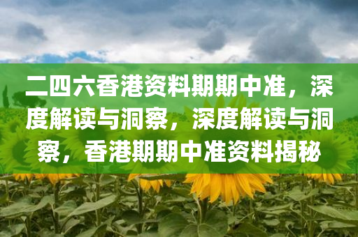 二四六香港资料期期中准，深度解读与洞察，深度解读与洞察，香港期期中准资料揭秘