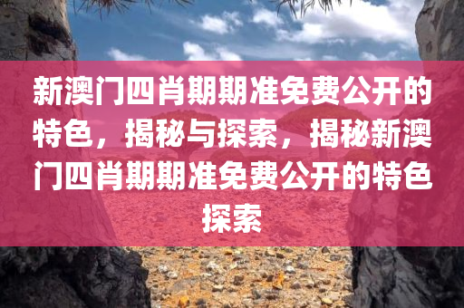 新澳门四肖期期准免费公开的特色，揭秘与探索，揭秘新澳门四肖期期准免费公开的特色探索