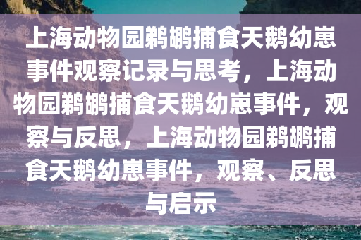 上海动物园鹈鹕捕食天鹅幼崽事件观察记录与思考，上海动物园鹈鹕捕食天鹅幼崽事件，观察与反思，上海动物园鹈鹕捕食天鹅幼崽事件，观察、反思与启示