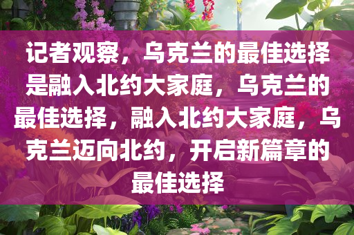 记者观察，乌克兰的最佳选择是融入北约大家庭，乌克兰的最佳选择，融入北约大家庭，乌克兰迈向北约，开启新篇章的最佳选择