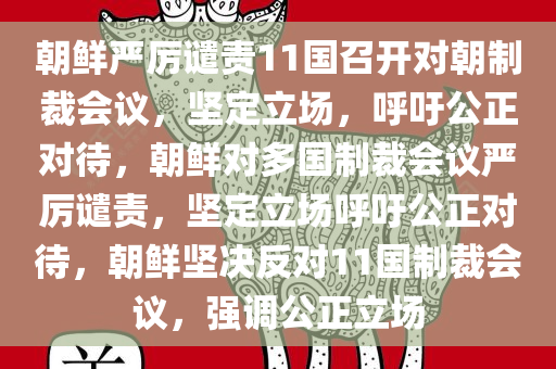 朝鲜严厉谴责11国召开对朝制裁会议，坚定立场，呼吁公正对待，朝鲜对多国制裁会议严厉谴责，坚定立场呼吁公正对待，朝鲜坚决反对11国制裁会议，强调公正立场