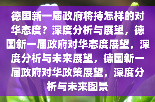 德国新一届政府将持怎样的对华态度？深度分析与展望，德国新一届政府对华态度展望，深度分析与未来展望，德国新一届政府对华政策展望，深度分析与未来图景