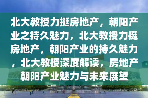 北大教授力挺房地产，朝阳产业之持久魅力，北大教授力挺房地产，朝阳产业的持久魅力，北大教授深度解读，房地产朝阳产业魅力与未来展望