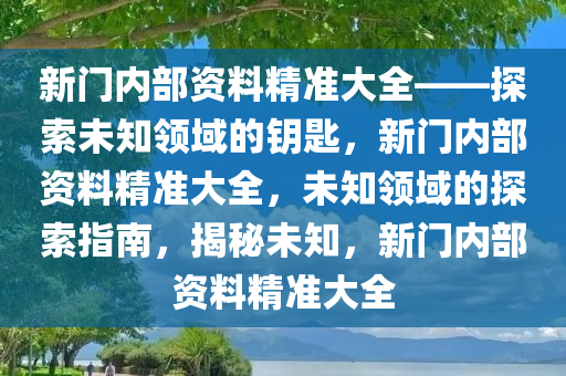 新门内部资料精准大全——探索未知领域的钥匙，新门内部资料精准大全，未知领域的探索指南，揭秘未知，新门内部资料精准大全