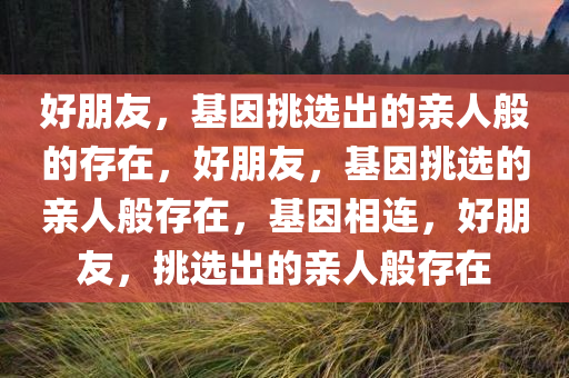 好朋友，基因挑选出的亲人般的存在，好朋友，基因挑选的亲人般存在，基因相连，好朋友，挑选出的亲人般存在