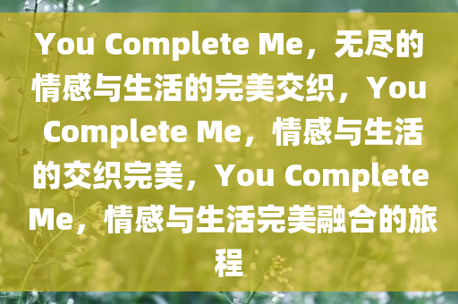 You Complete Me，无尽的情感与生活的完美交织，You Complete Me，情感与生活的交织完美，You Complete Me，情感与生活完美融合的旅程