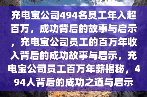 充电宝公司494名员工年入超百万，成功背后的故事与启示，充电宝公司员工的百万年收入背后的成功故事与启示，充电宝公司员工百万年薪揭秘，494人背后的成功之道与启示