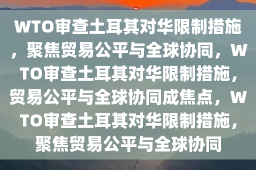 WTO审查土耳其对华限制措施，聚焦贸易公平与全球协同，WTO审查土耳其对华限制措施，贸易公平与全球协同成焦点，WTO审查土耳其对华限制措施，聚焦贸易公平与全球协同