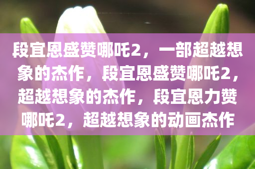 段宜恩盛赞哪吒2，一部超越想象的杰作，段宜恩盛赞哪吒2，超越想象的杰作，段宜恩力赞哪吒2，超越想象的动画杰作