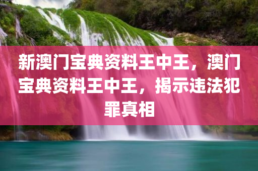 新澳门宝典资料王中王，澳门宝典资料王中王，揭示违法犯罪真相