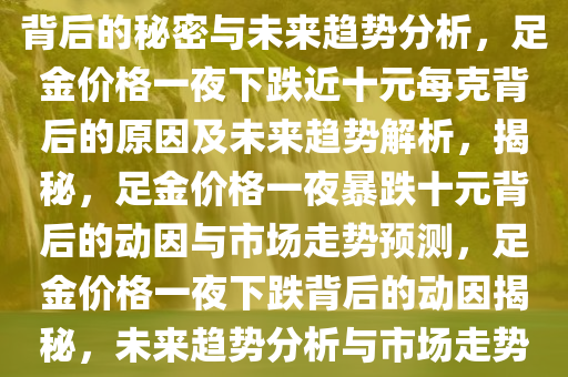 足金价格一夜下跌近十元每克背后的秘密与未来趋势分析，足金价格一夜下跌近十元每克背后的原因及未来趋势解析，揭秘，足金价格一夜暴跌十元背后的动因与市场走势预测，足金价格一夜下跌背后的动因揭秘，未来趋势分析与市场走势预测