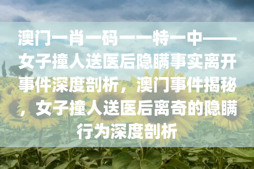 澳门一肖一码一一特一中——女子撞人送医后隐瞒事实离开事件深度剖析，澳门事件揭秘，女子撞人送医后离奇的隐瞒行为深度剖析