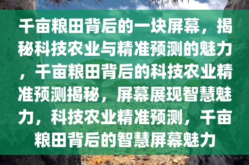 千亩粮田背后的一块屏幕，揭秘科技农业与精准预测的魅力，千亩粮田背后的科技农业精准预测揭秘，屏幕展现智慧魅力，科技农业精准预测，千亩粮田背后的智慧屏幕魅力