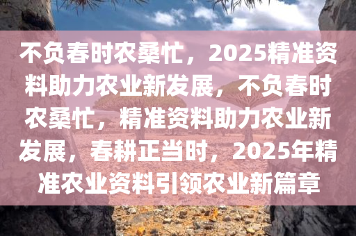 不负春时农桑忙，2025精准资料助力农业新发展，不负春时农桑忙，精准资料助力农业新发展，春耕正当时，2025年精准农业资料引领农业新篇章