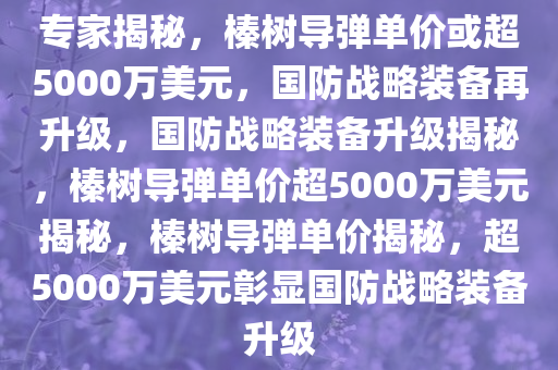 专家揭秘，榛树导弹单价或超5000万美元，国防战略装备再升级，国防战略装备升级揭秘，榛树导弹单价超5000万美元揭秘，榛树导弹单价揭秘，超5000万美元彰显国防战略装备升级