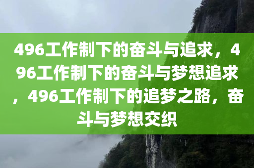 496工作制下的奋斗与追求，496工作制下的奋斗与梦想追求，496工作制下的追梦之路，奋斗与梦想交织