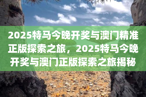 2025特马今晚开奖与澳门精准正版探索之旅，2025特马今晚开奖与澳门正版探索之旅揭秘